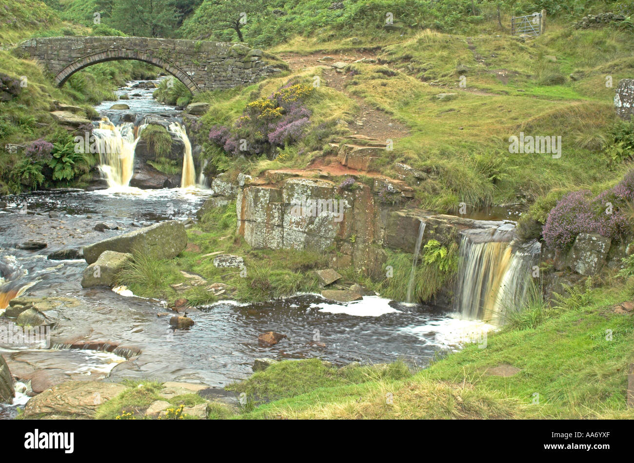 Peak District Three Shires Head Stock Photo Alamy peak-district-three-shires-head-stock-photo-alamy