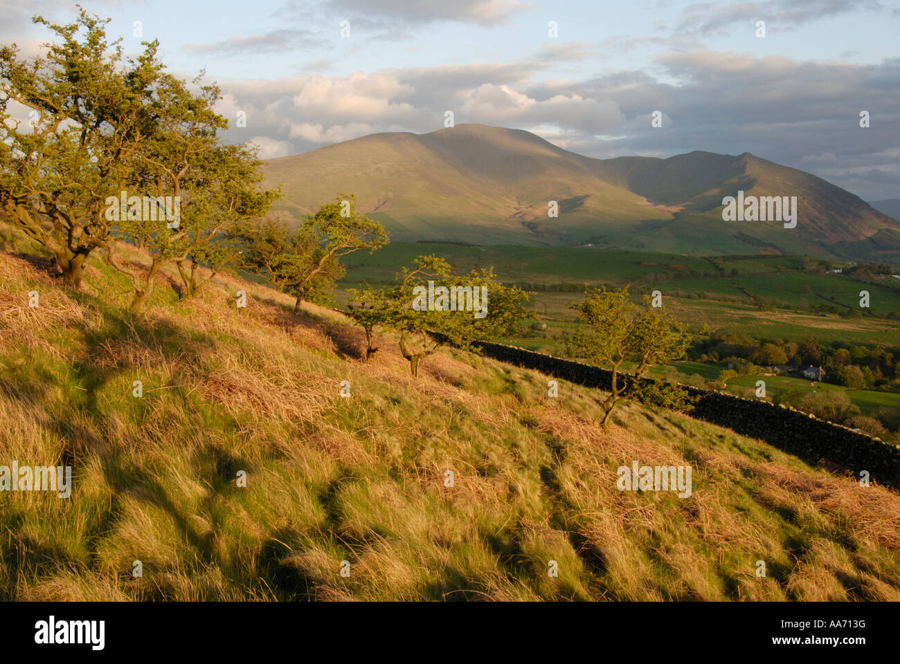 Carte Postale Ancienne UK - Uldale And Binsey From The Fell (Cumberland/Westmorland)