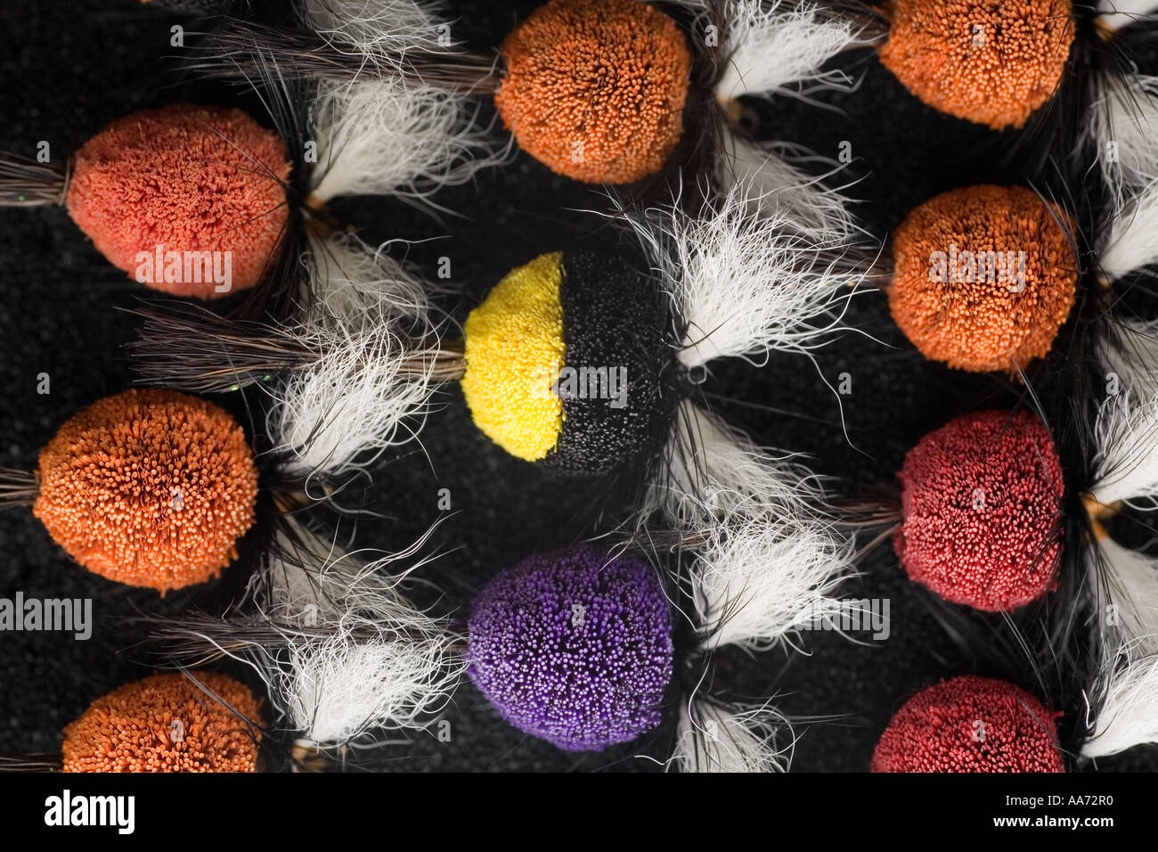 Dry flies for Steelhead flyfishing Stock Photo Alamy