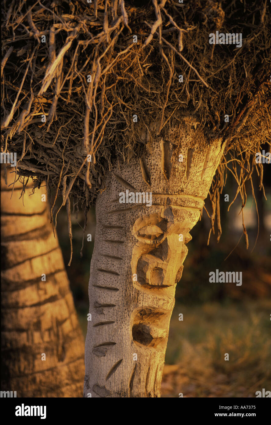 Tiki Tikis High Resolution Stock Photography and Images - Alamy