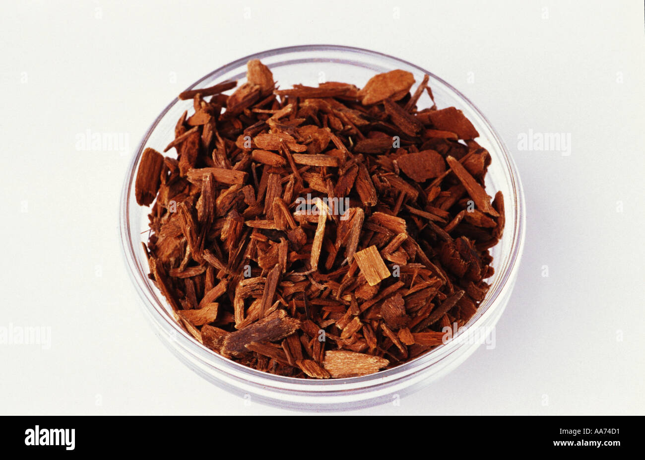 Yohimbe hires stock photography and images Alamy