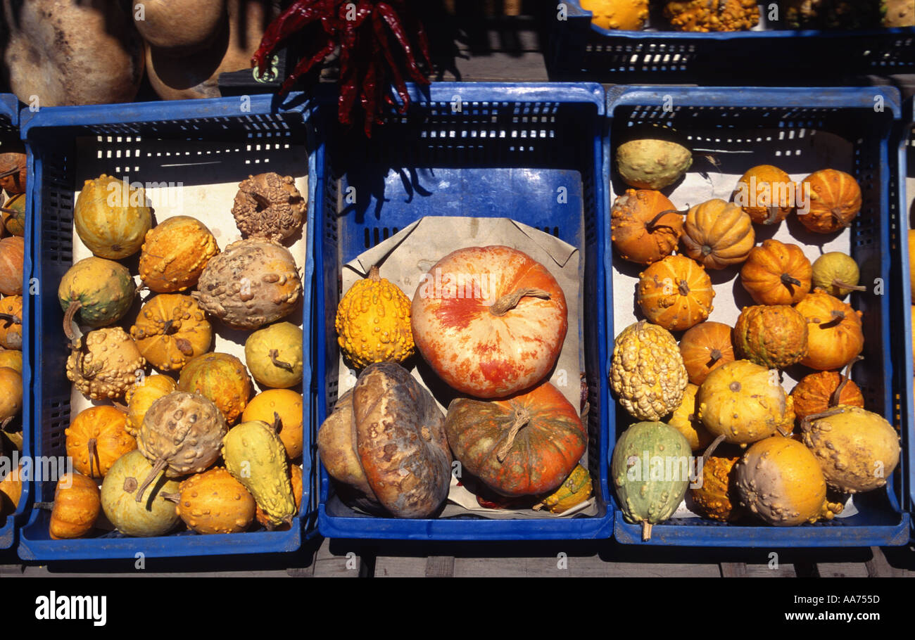 market stall with various pumpkins Stock Photo - Alamy