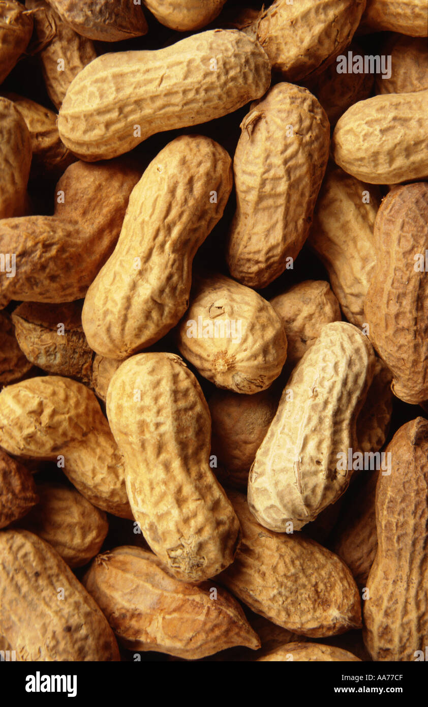 Camiseta Peanuts - Snoopy Y Woodstock Bailando, Varios Colores