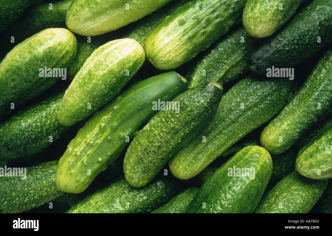 Gurken cucumber gherkins hi-res stock photography and images - Alamy