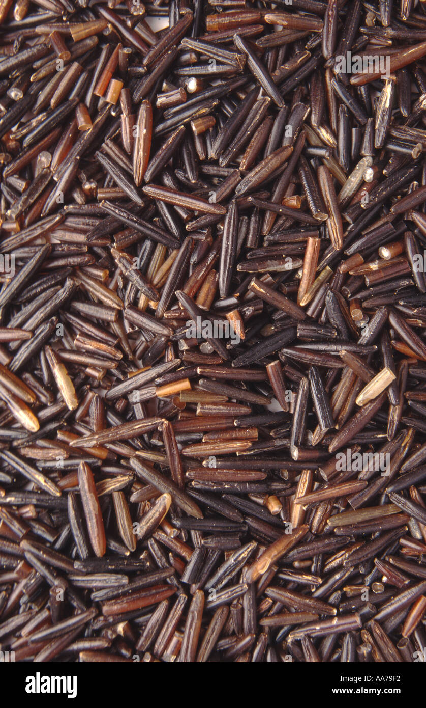 wild rice rice black Stock Photo - Alamy