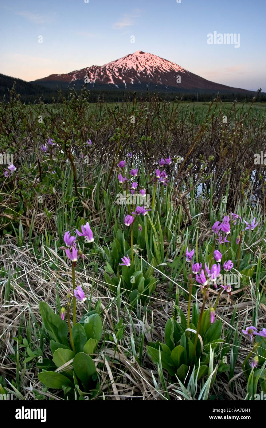 Mt bachelor and sparks lake hires stock photography and images Alamy