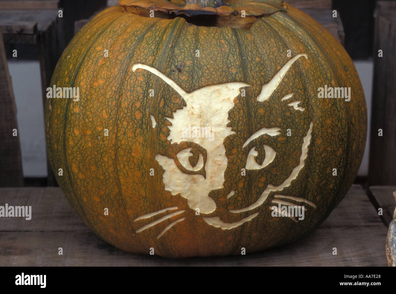 Inscribed oval hi-res stock photography and images - Alamy