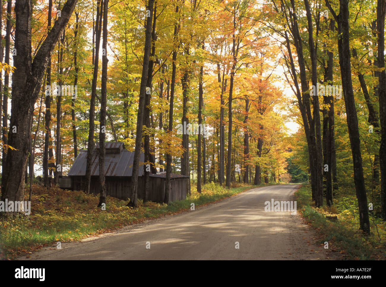 Sugar shack vermont hires stock photography and images Alamy