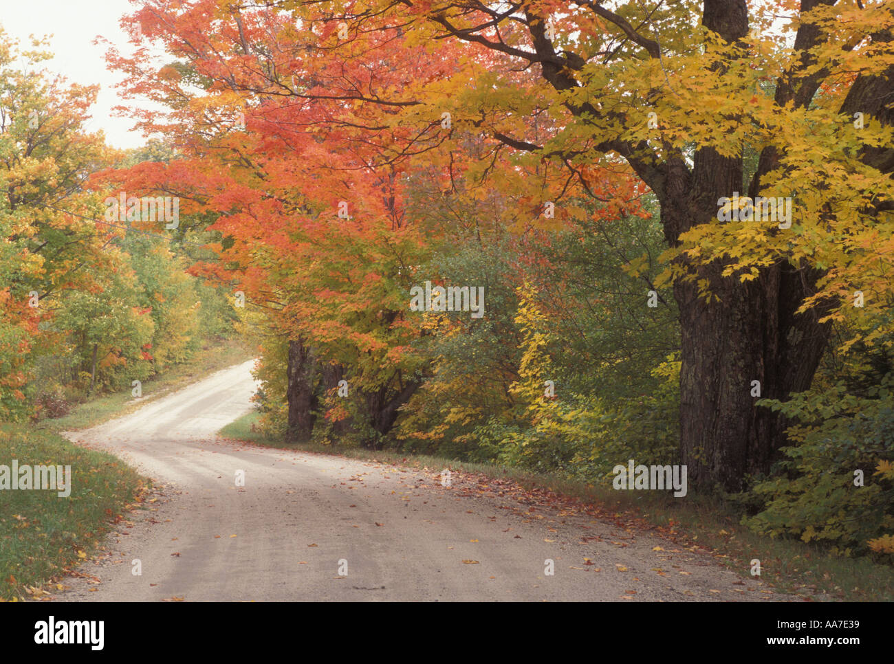 AJ5445, VT, Vermont Stock Photo