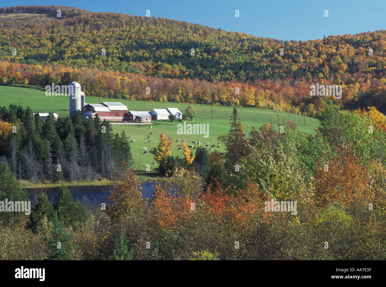 Dairy farm vermont autumn hi-res stock photography and images - Alamy