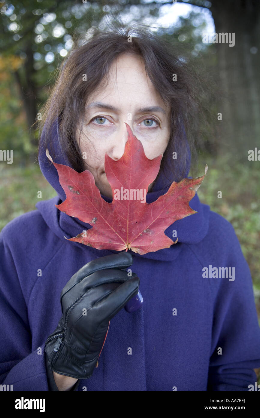 Beautiful red maple hi-res stock photography and images - Alamy