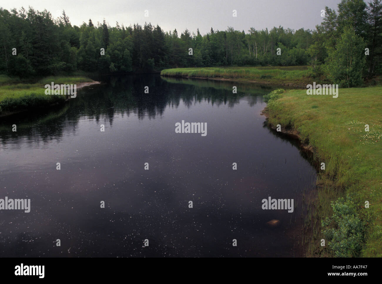 Kouchibouguac park hires stock photography and images Alamy