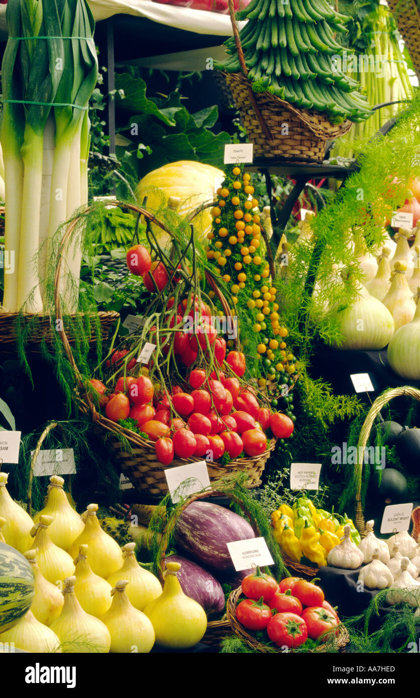 Home grown organic vegetable produce on display at the annual Flower Show in the market town of Shrewsbury, Shropshire, England. Stock Photo