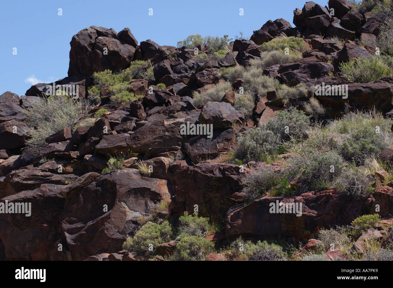 Coso Rock Art District Stock Photo Alamy