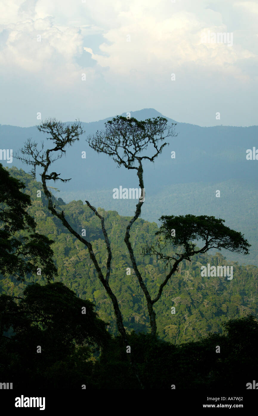 Darien national park seen from Cerro Pirre, Darien province, Republic of Panama. Stock Photo