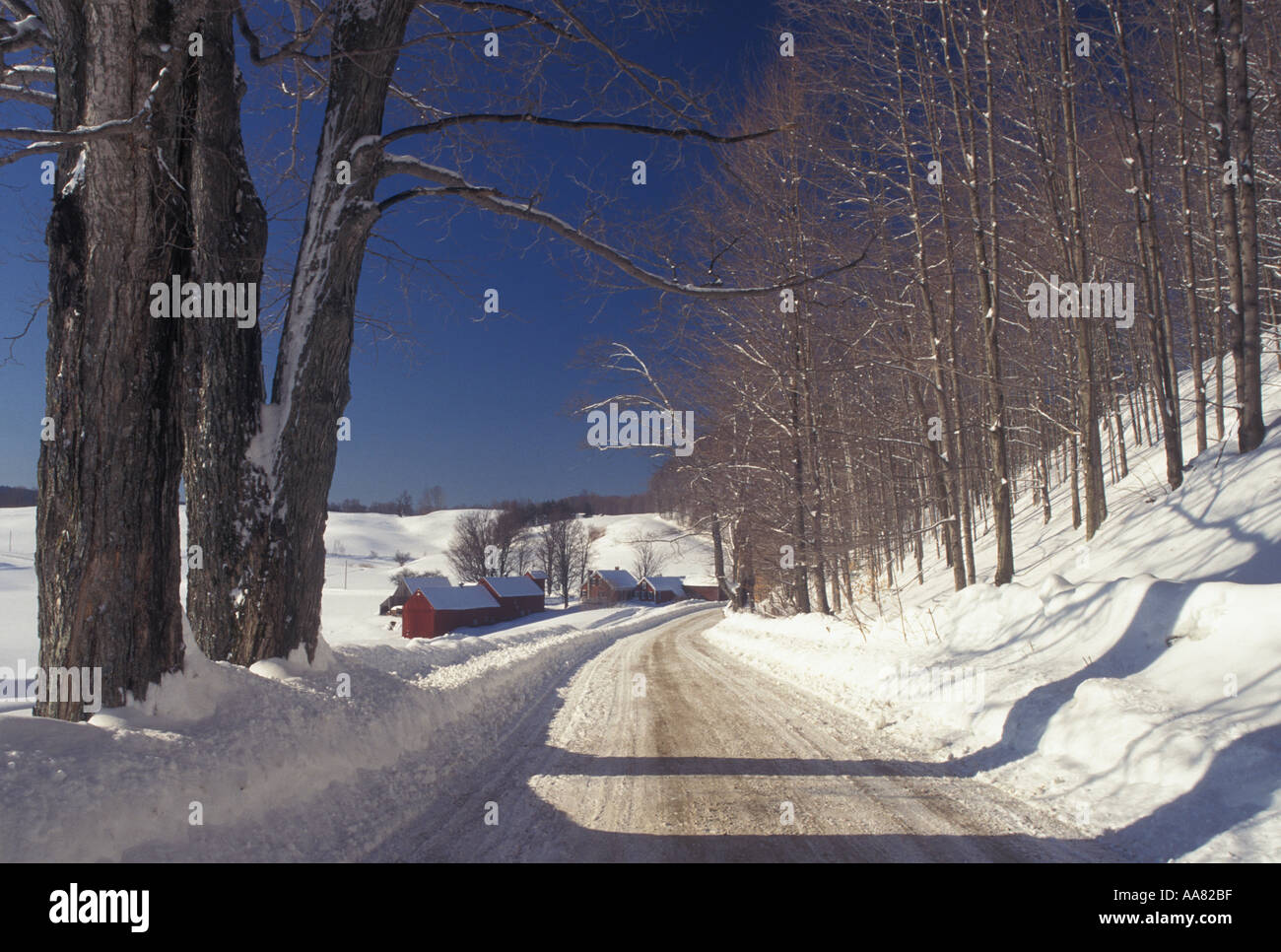 AJ4768, Vermont, Reading, VT Stock Photo Alamy