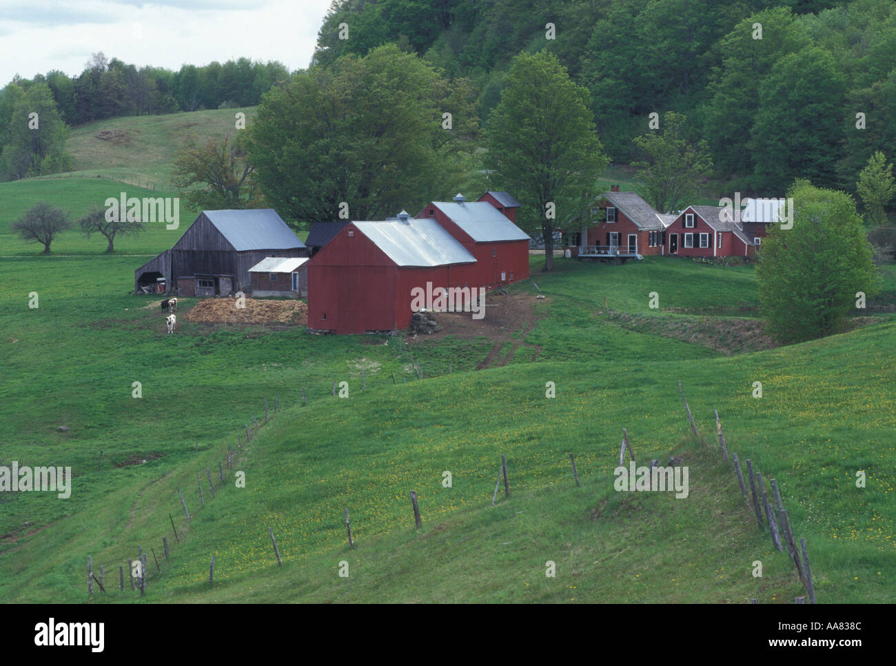 AJ4919, Vermont, VT, Reading Stock Photo - Alamy