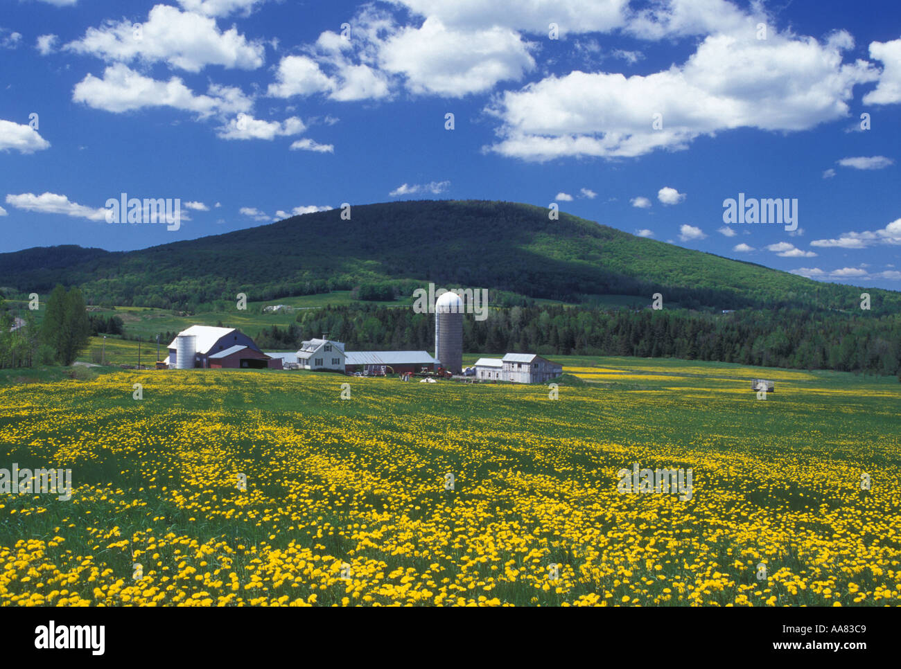 AJ5027, Barton, VT, Vermont Stock Photo Alamy