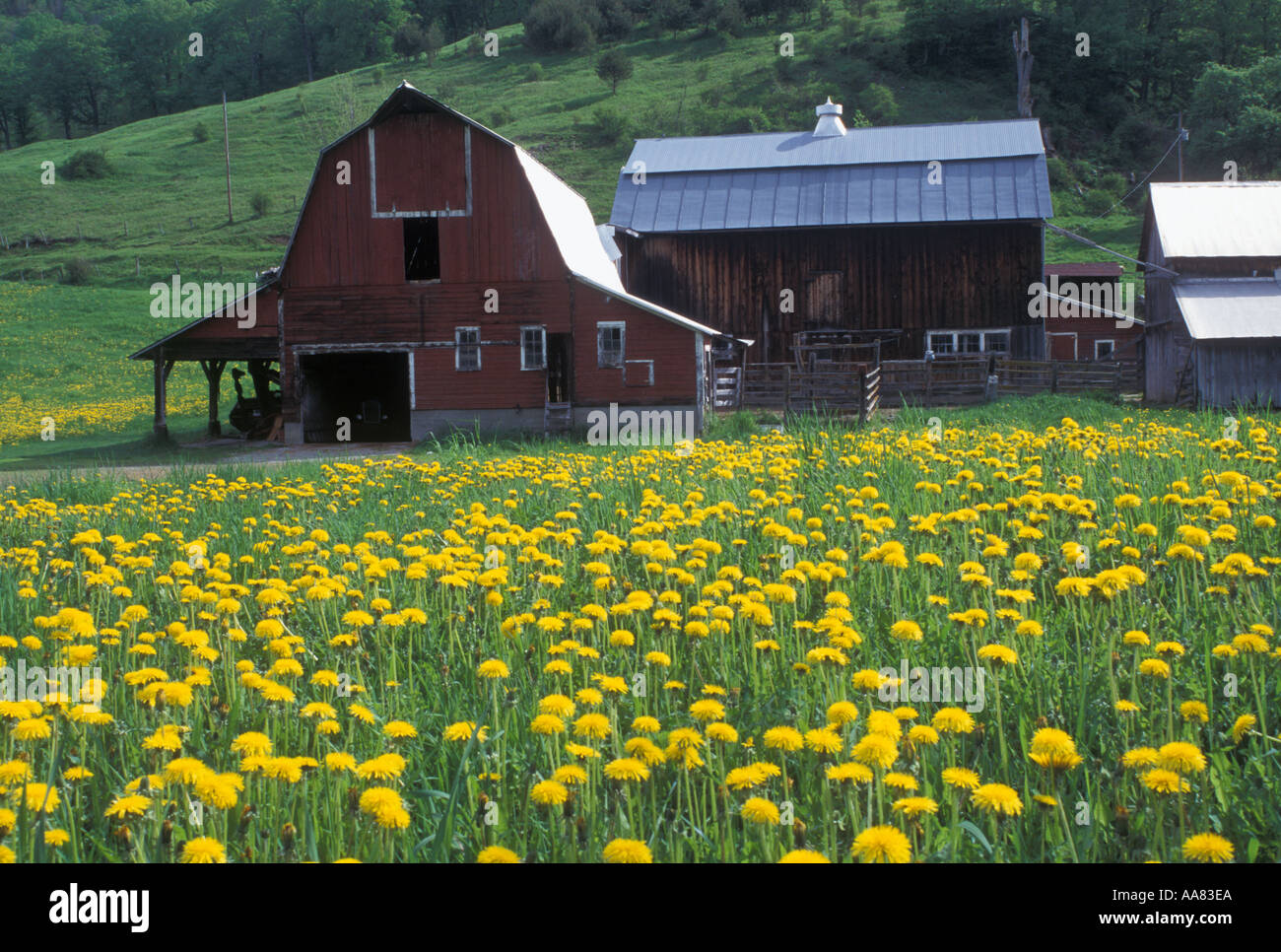 Chelsea field hires stock photography and images Alamy