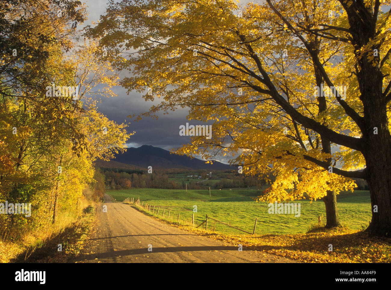 New england road hi-res stock photography and images - Alamy