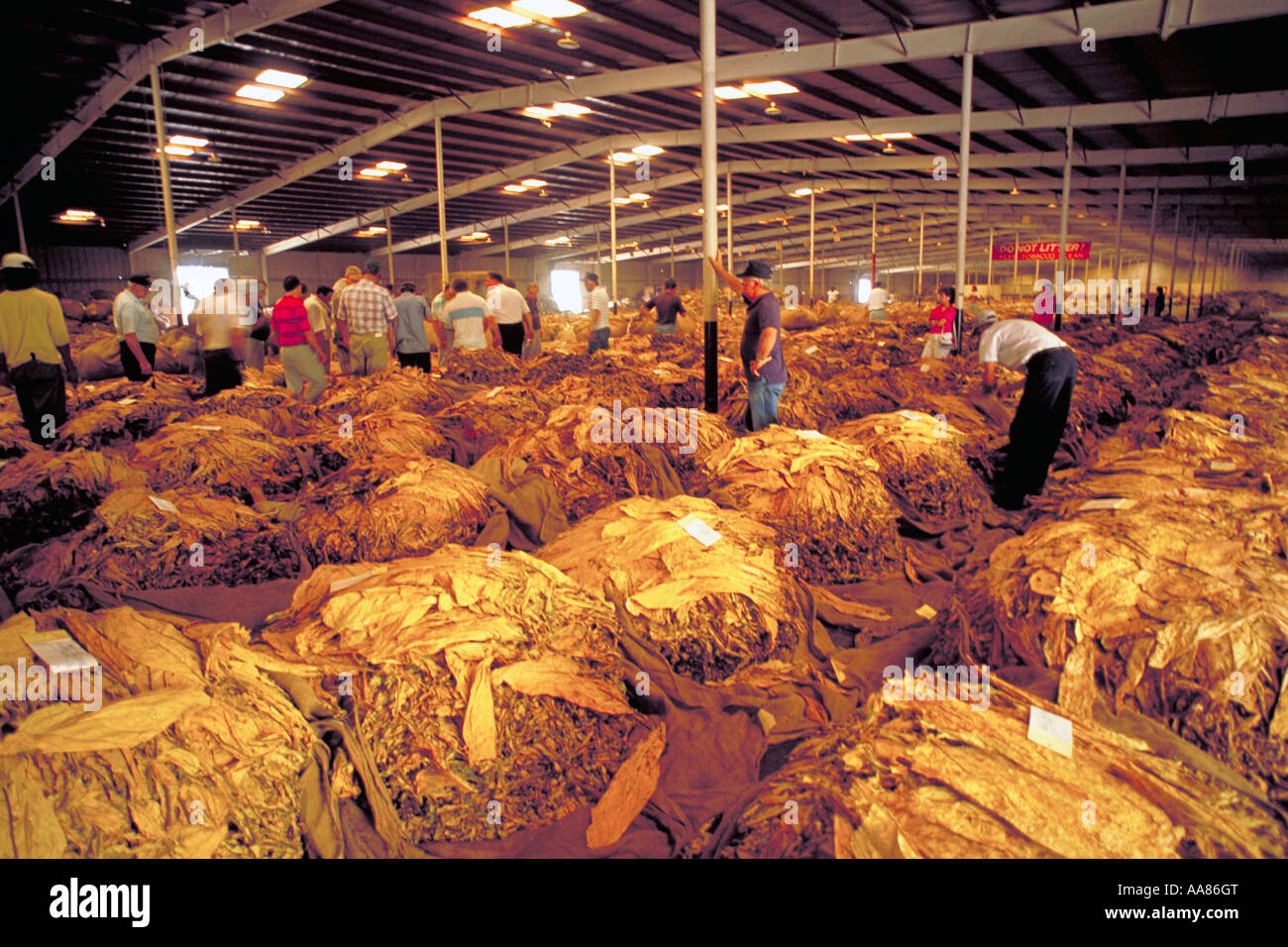 Elk218 2566 North Carolina Winston Salem tobacco auction Stock Photo