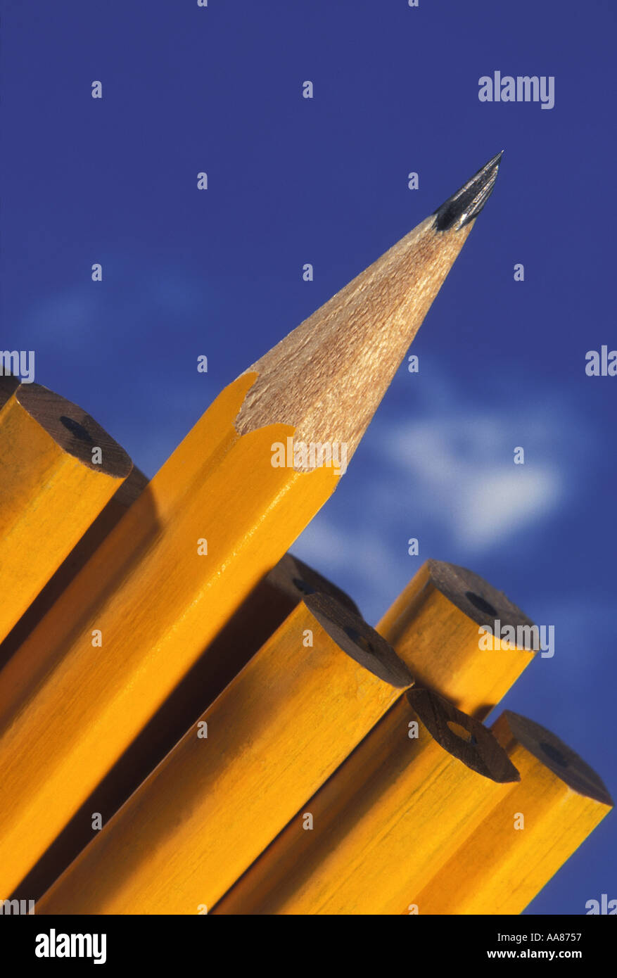 outstanding sharp pencil Stock Photo
