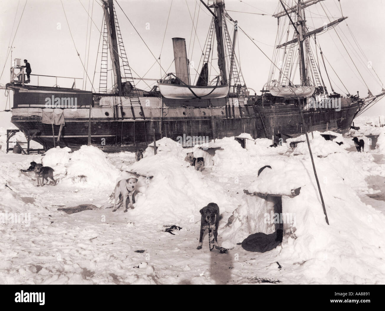 Kennels on the ice in the form of igloos Dogloos Imperial Trans Antarctic Expedition Stock Photo