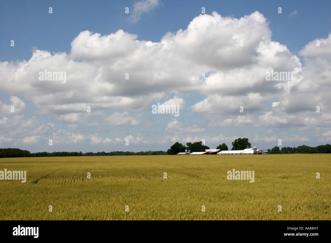 Maryland Eastern Shore Farm Stock Photo Alamy
