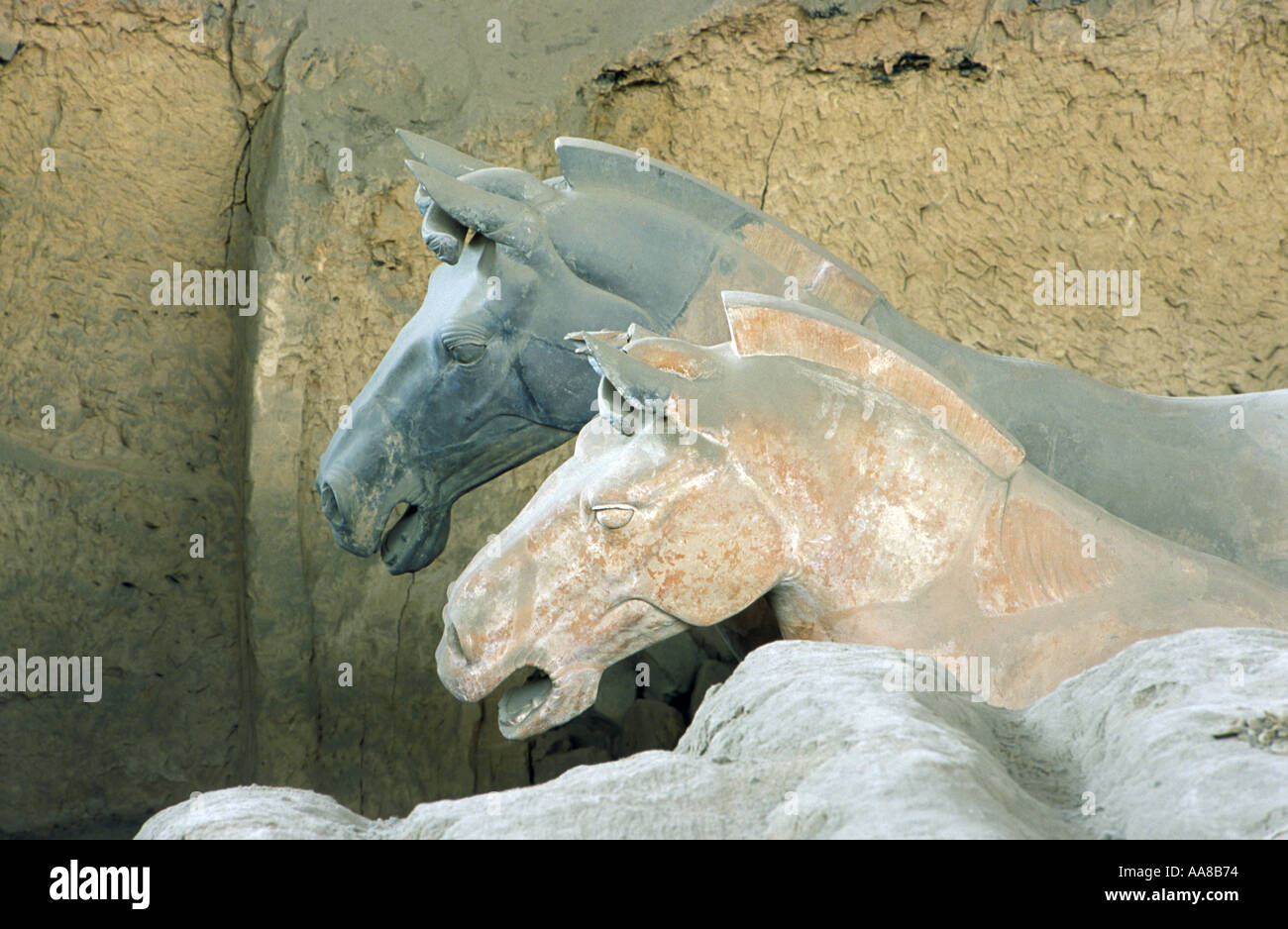 Terracotta horses Xian China Stock Photo