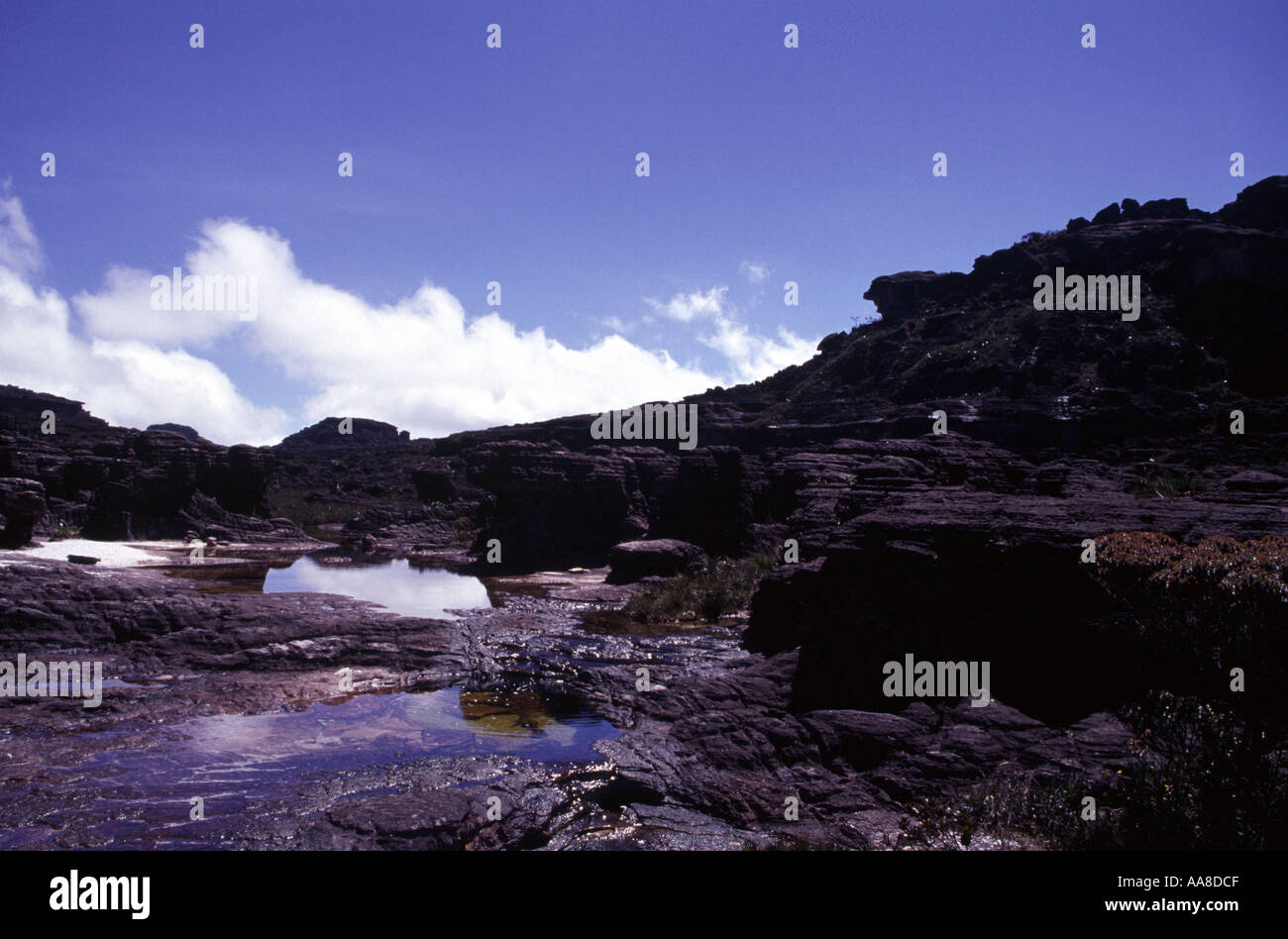 VENEZUELA 2002 ON THE TABLE TOP MOUNTAIN RORAIMA WHICH WAS MADE FAMOUS