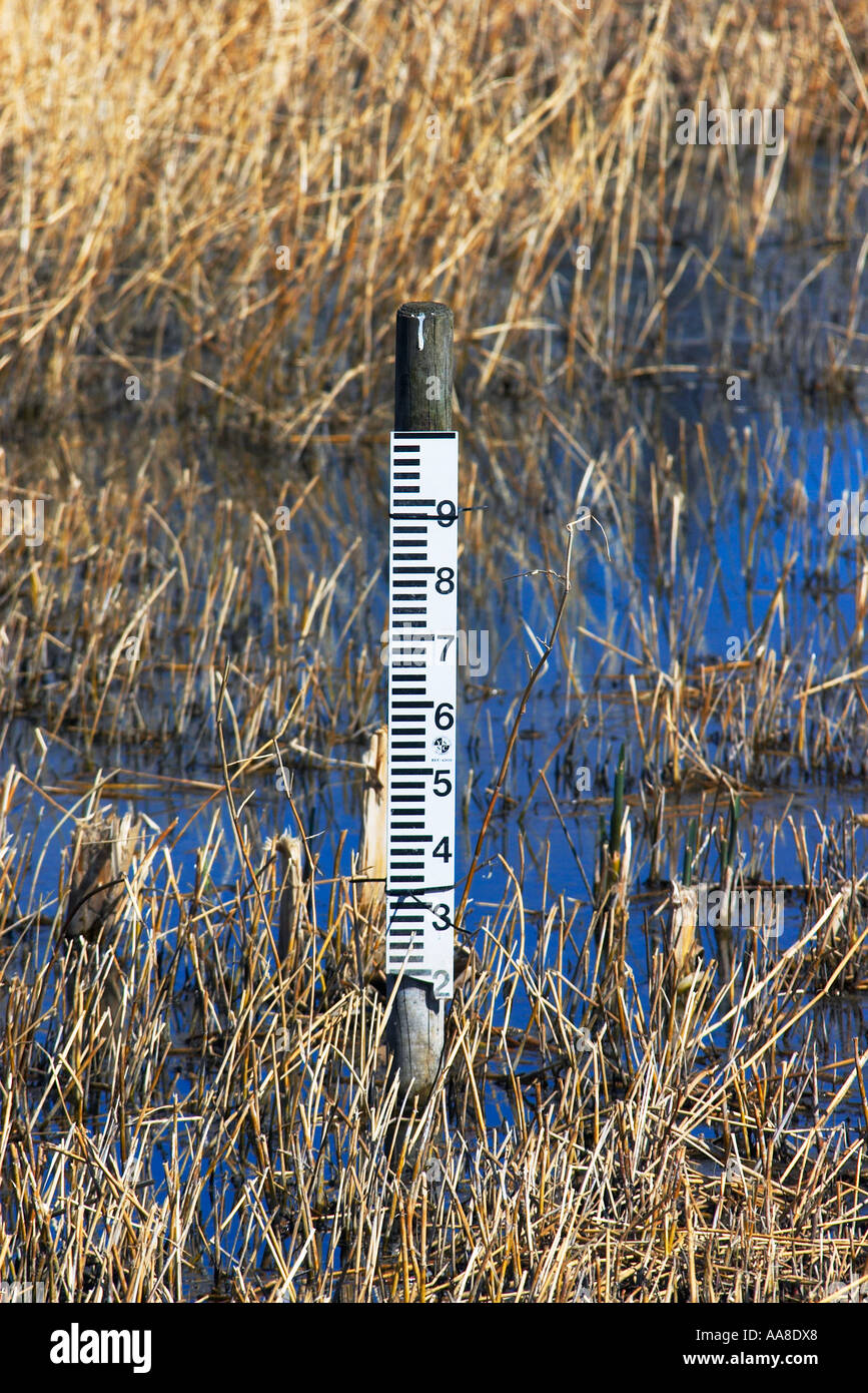 Marsh Stack Thermometer