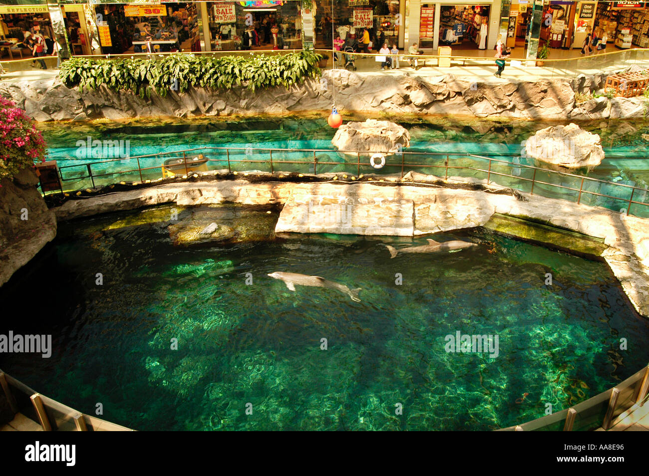 Page 4 West Edmonton Mall Canada High Resolution Stock Photography And Images Alamy
