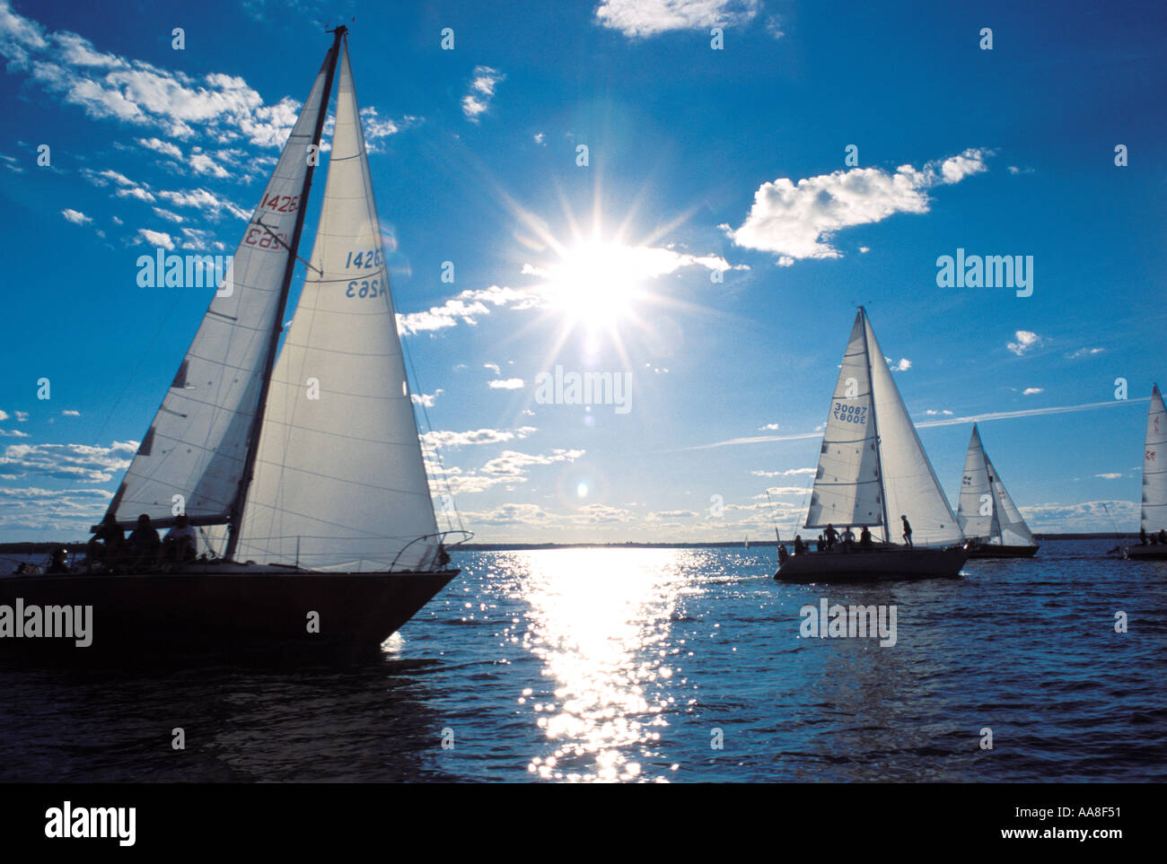 sailboat racing on Canada s Atlantic coast Stock Photo