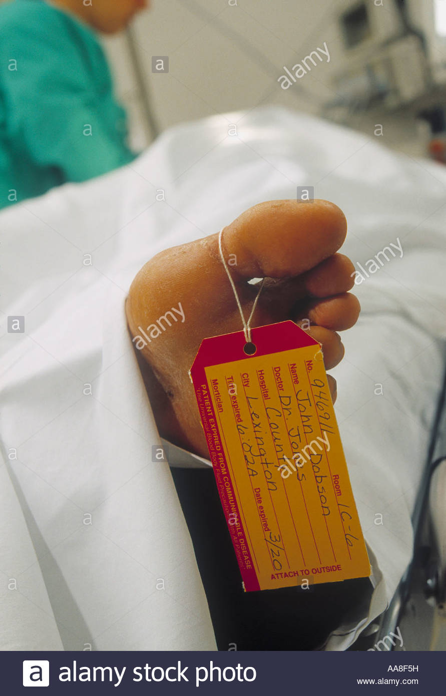 Body Toe Tag Stock Photos & Body Toe Tag Stock Images Alamy