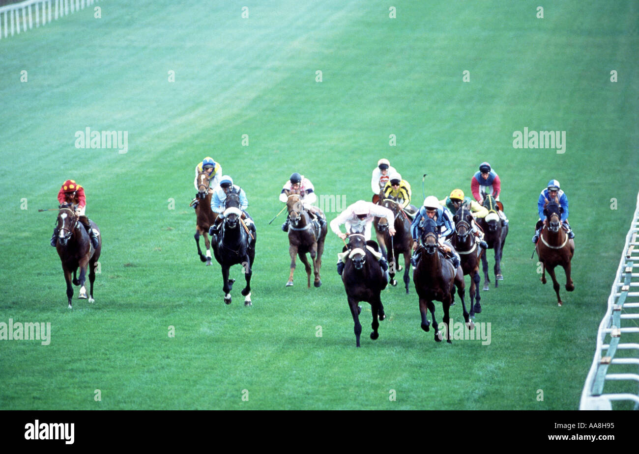 The Derby Epsom racecourse England United Kingdom Stock Photo - Alamy
