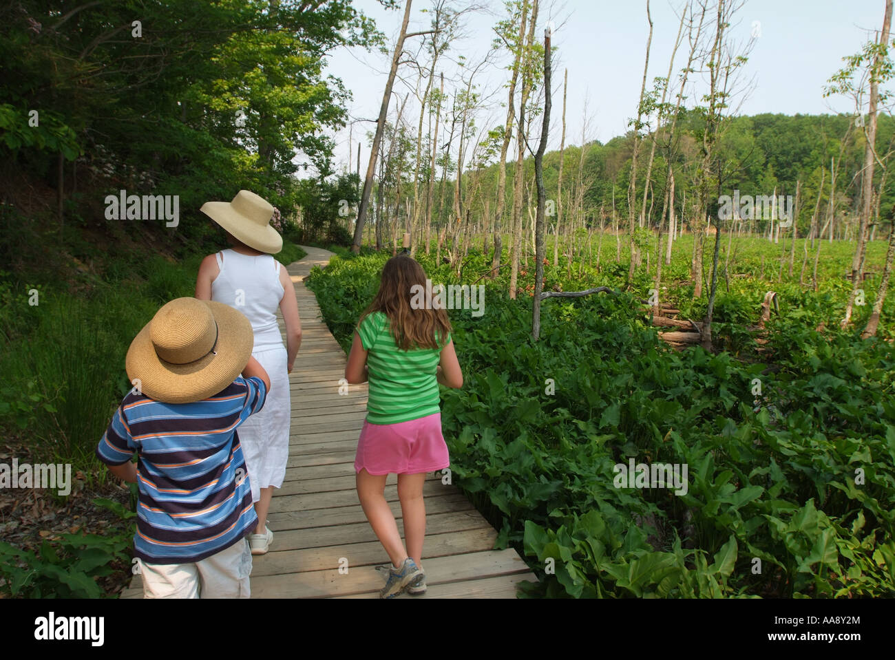 USA Maryland Calvert Cliffs State Park mother and kids hike along a boardwalk path through the marsh Stock Photo