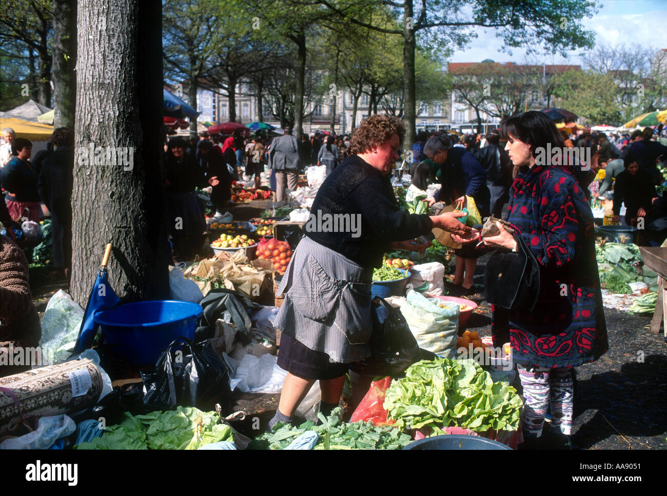 Portugal Barcelos Weekly Market Minho Region Portugal Stock Photo