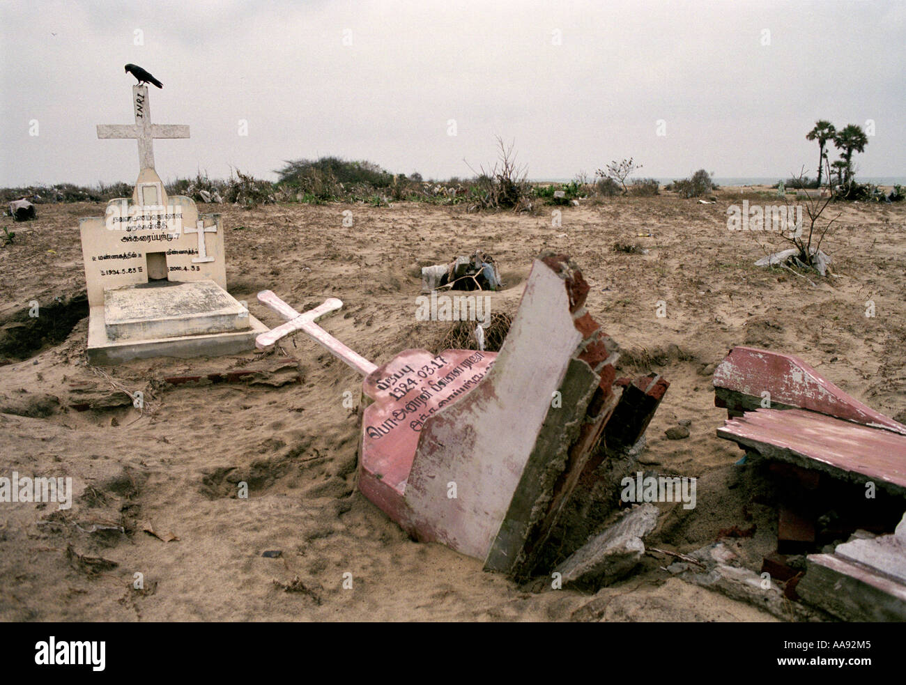 Where tsunami hit sri lanka
