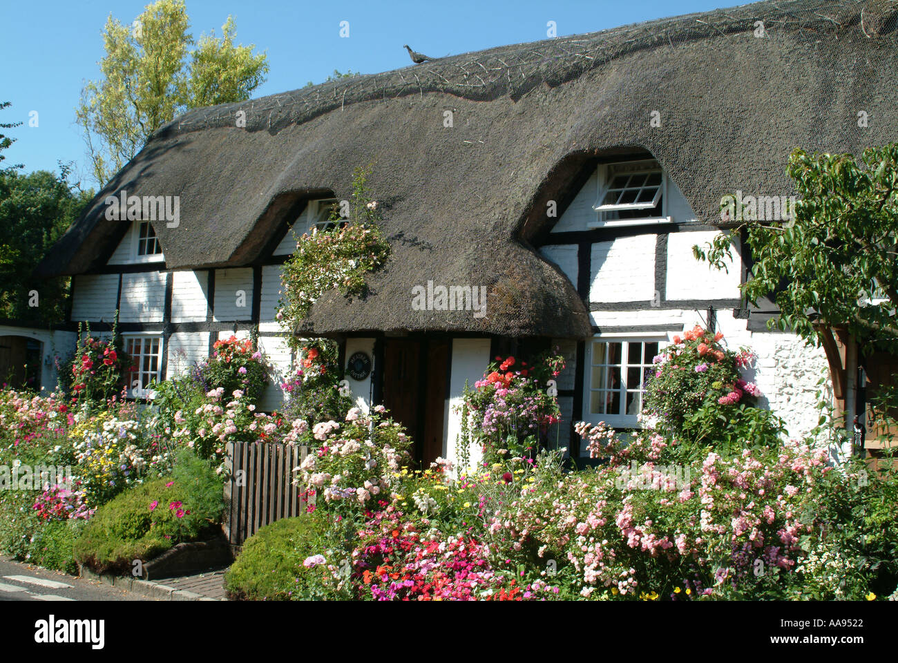 Thatched Cottage in Micheldever Hampshire England Country Cottages