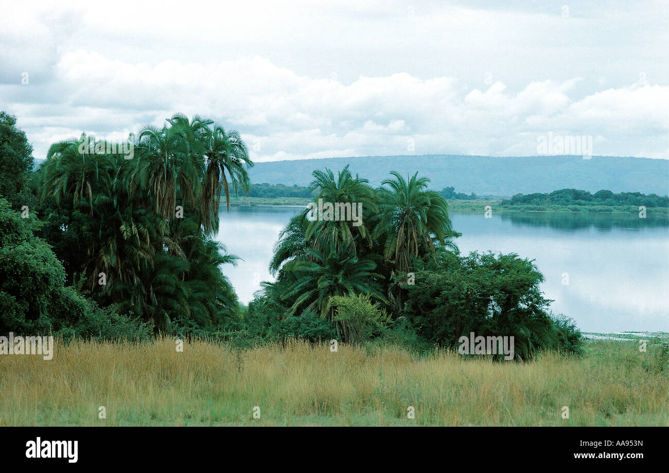 Palms and Lac Hago Akagera National Park Rwanda This lake is one of the ultimate sources of the river Nile Stock Photo
