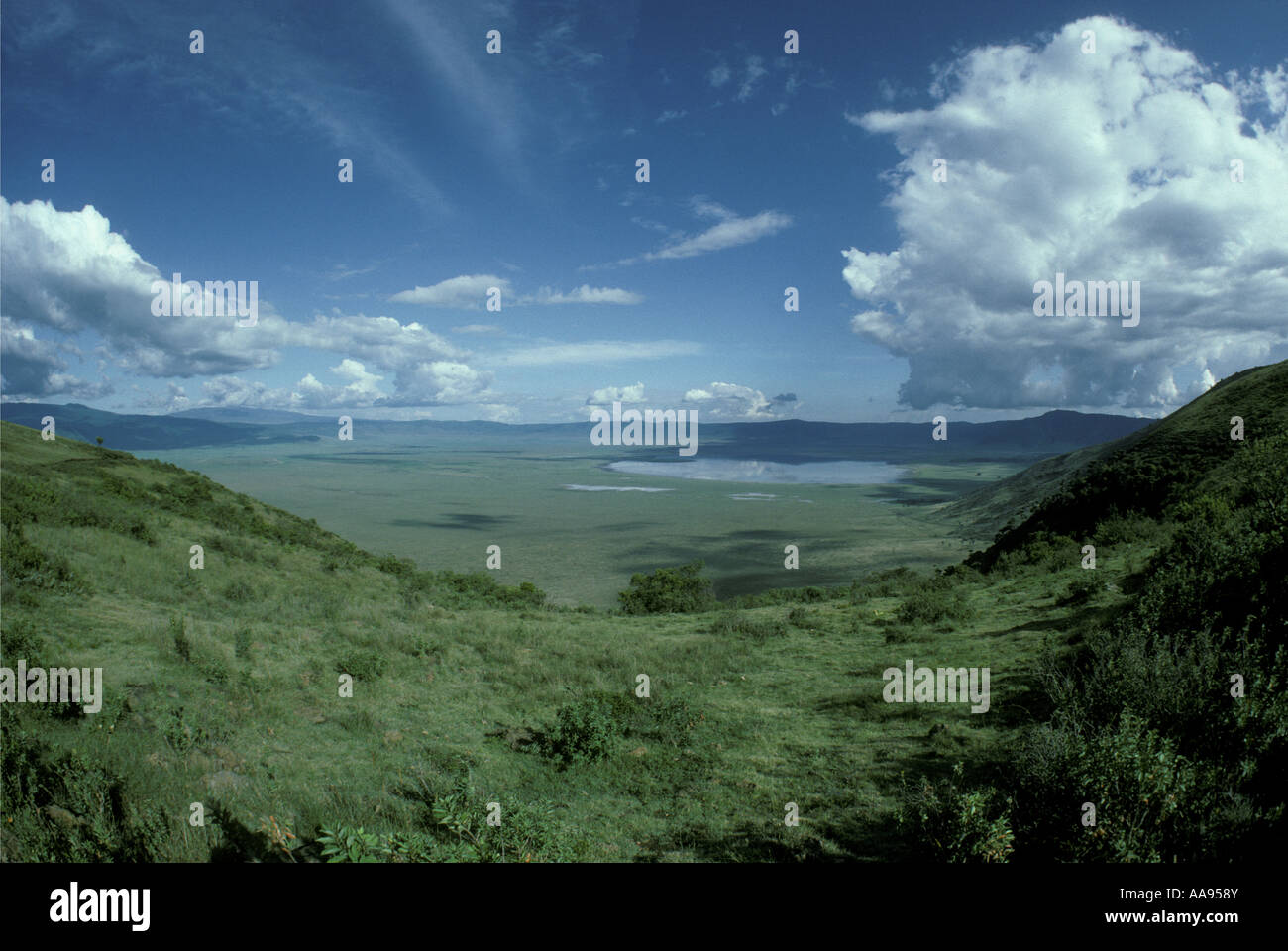 Ngorongoro crater seen from the southern rim of the crater Ngorongoro Conservation Area Tanzania East Africa Stock Photo