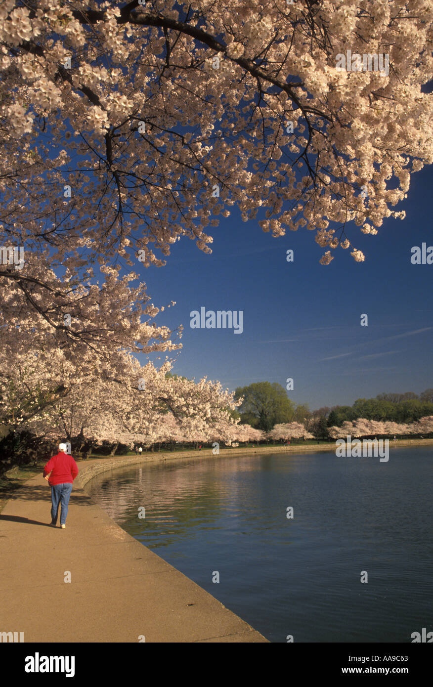 Washington dc park photos hi-res stock photography and images - Alamy