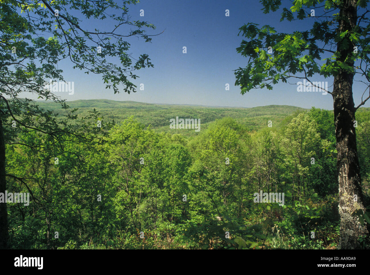 Ozark plateau hi-res stock photography and images - Alamy