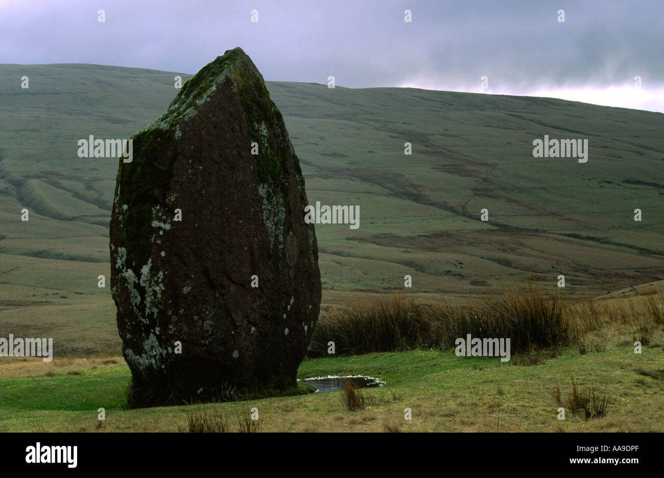 Maen Llia, standing stone in the Brecon Beacons, Wales, UK Stock Photo