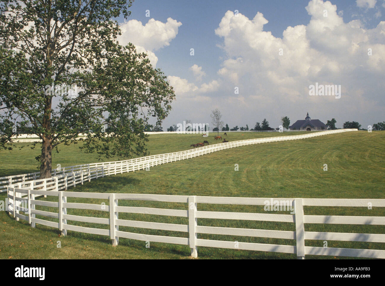 Aj12042 Hi res Stock Photography And Images Alamy aj12042-hi-res-stock-photography-and-images-alamy