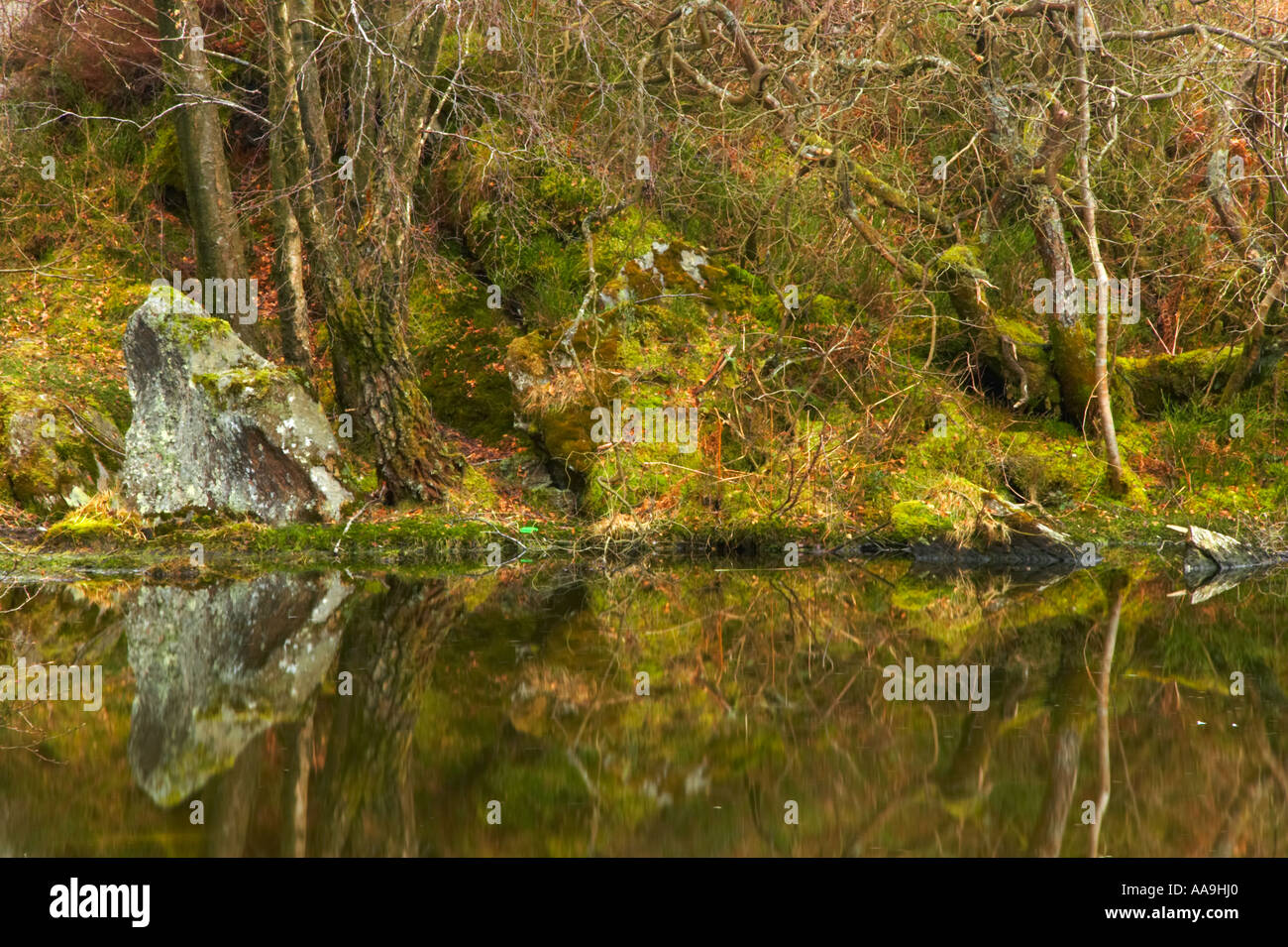 Wales Caernarfonshire Snowdonia National Park The lake Llyn Elsi located within Gwydyr Forest Park Stock Photo