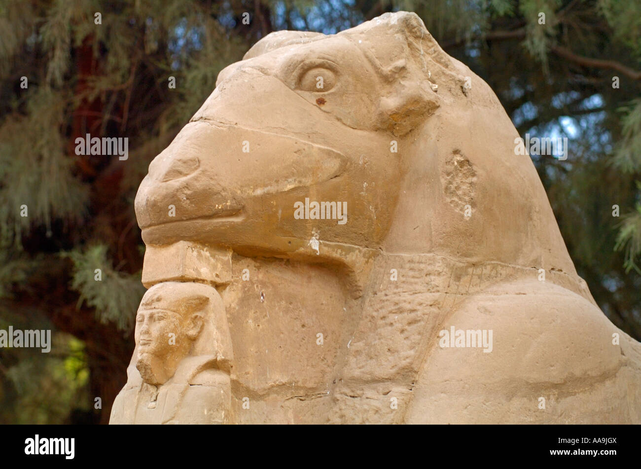 Ram Headed Sphinx holding a statue of Ramses II at the entrance to Karnak  Temple, Luxor, Thebes, Egypt Stock Photo - Alamy