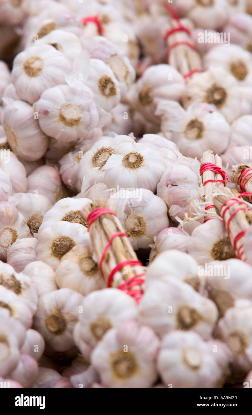 Pink garlic for sale at a market Stock Photo Alamy