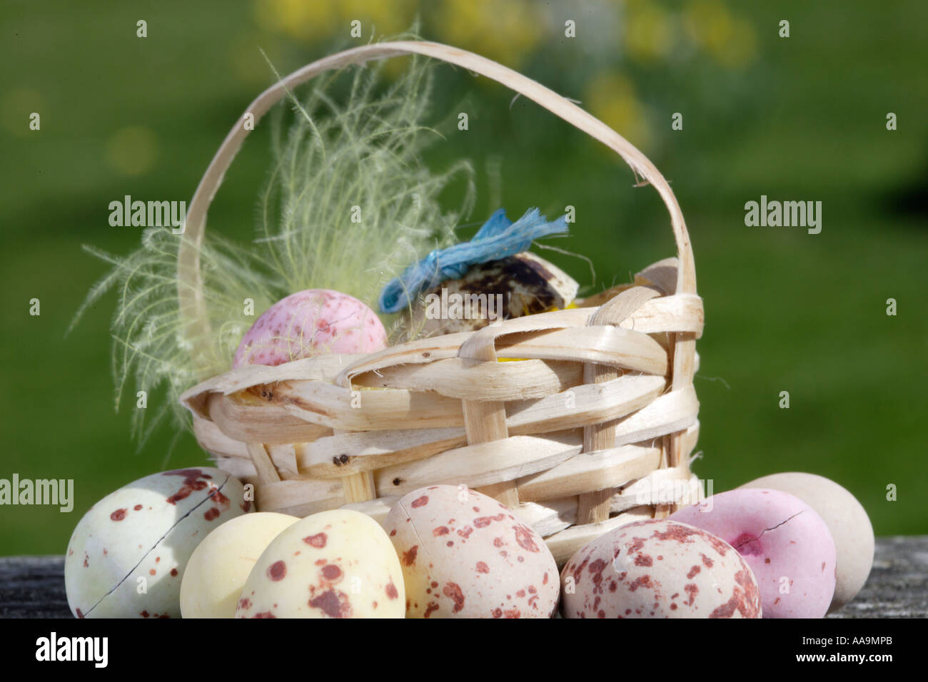 Easter eggs in a little basket, Daffodils behind. Stock Photo
