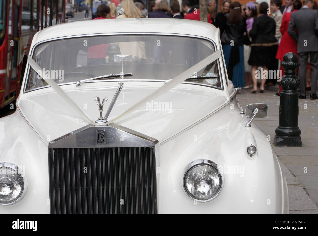 Ribbons for 2024 wedding cars